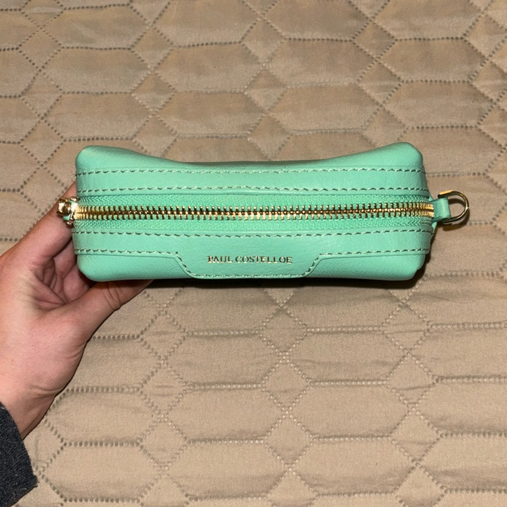 🐬 {PRICE FIRM} Paul Costelloe MAYO Leather Crossbody Bag ~ Mint Green - Picture 6 of 9